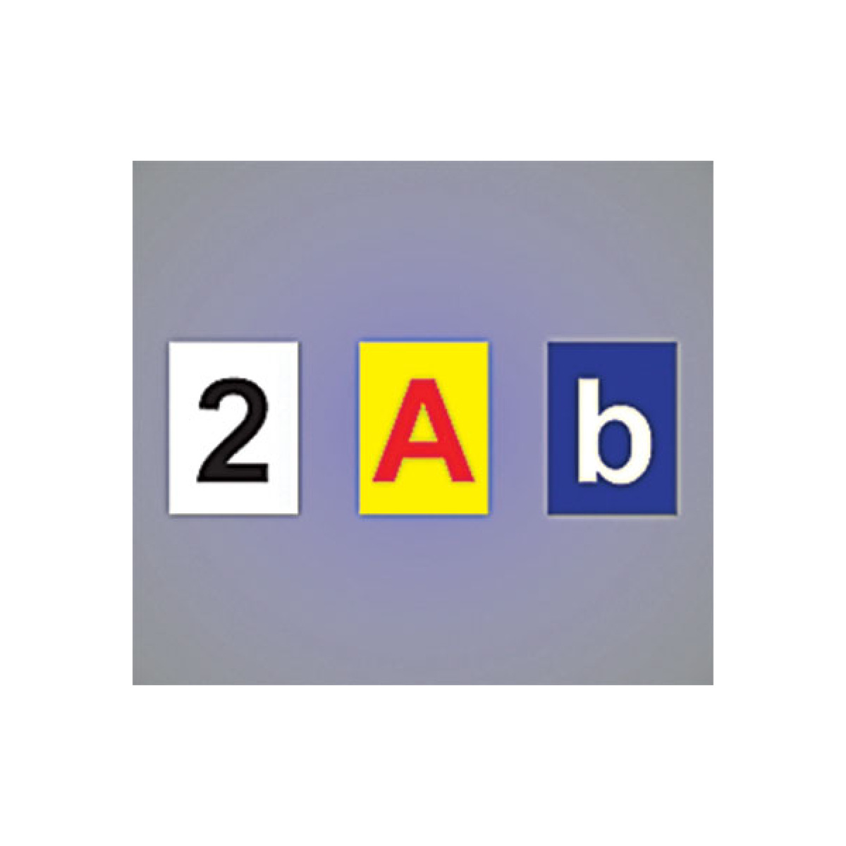 color lettering on color sign magnets color lettering on color sign magnets